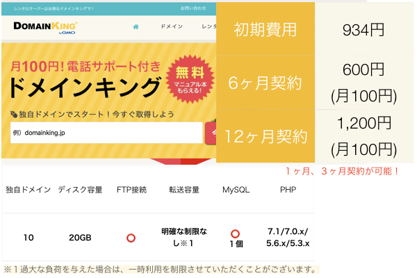 格安レンタルサーバー ドメインキング Pプラン ワードプレス可 月額100円